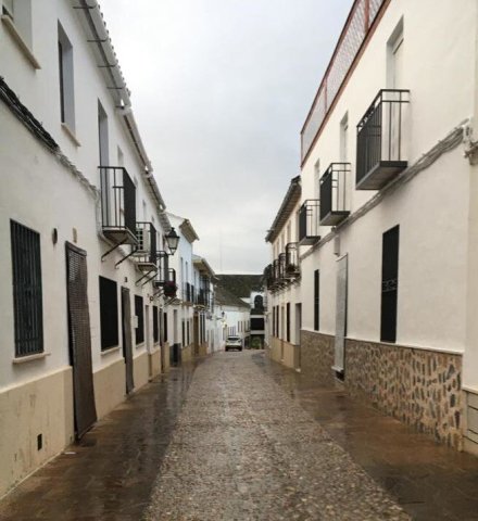 Calle Manuel Mantilla BUJALANCE - 2020 Pandemia